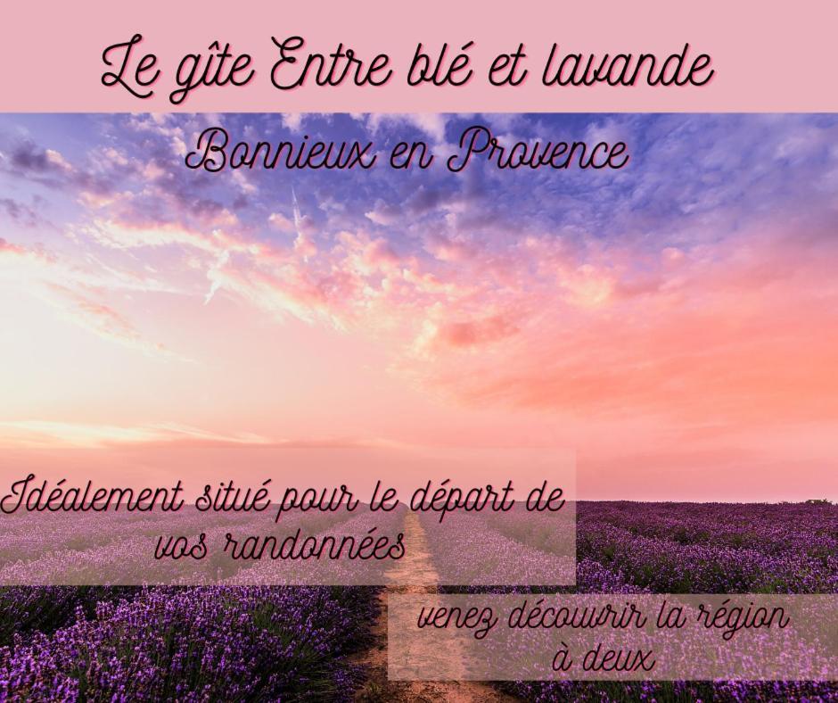 Entre Ble Et Lavande Apartment บอนนิเยอ ภายนอก รูปภาพ